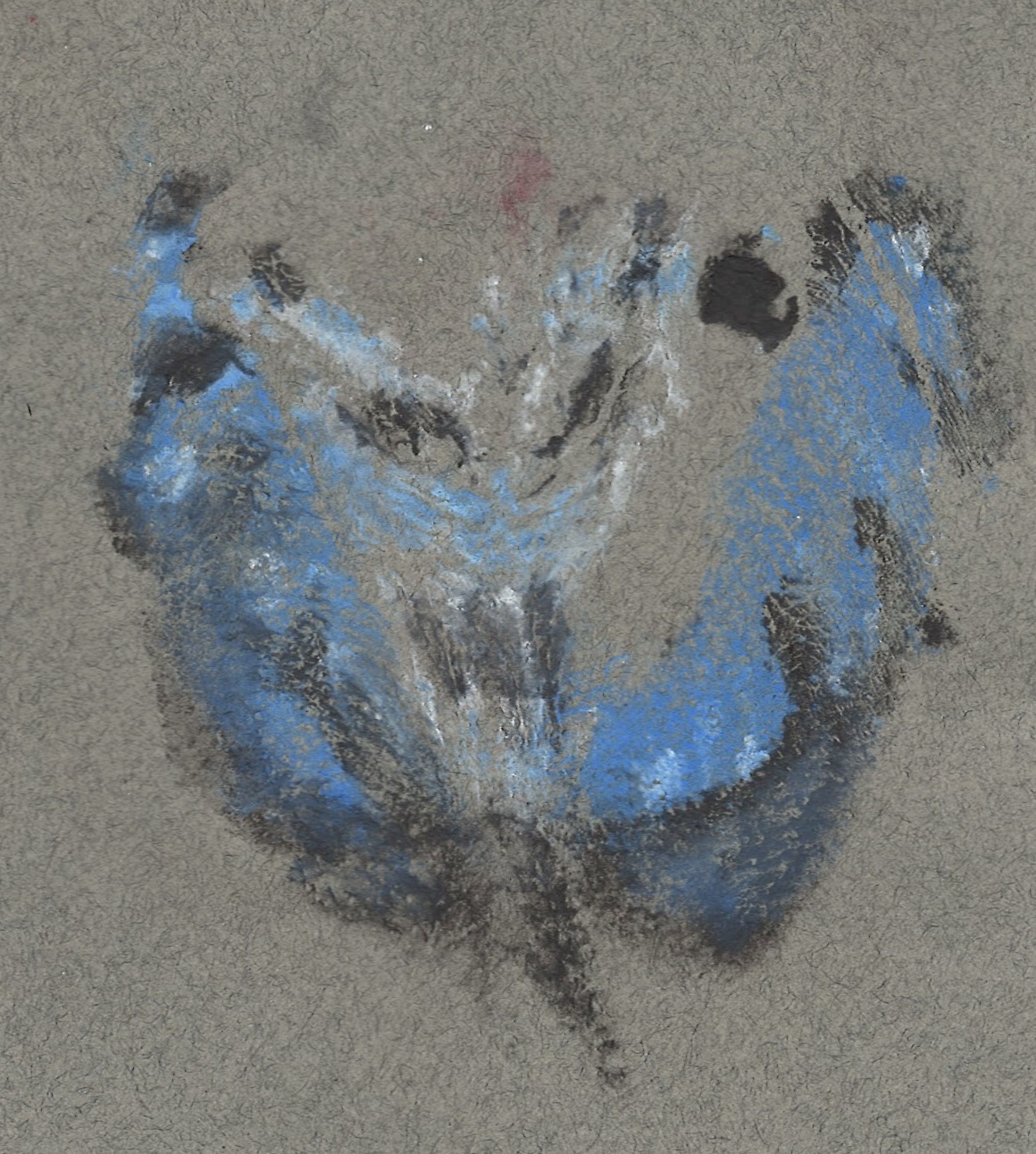 print made from blue butterfly painted on labia