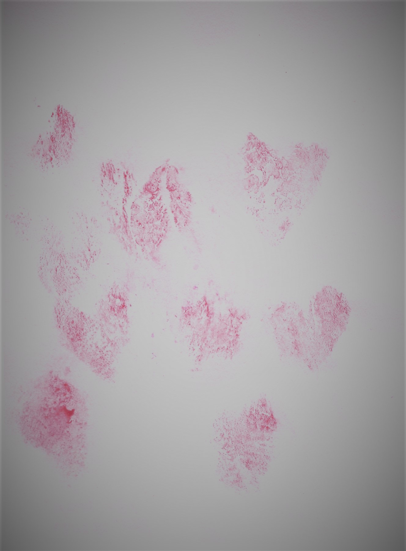 print made from pink hearts painted on and around the labia