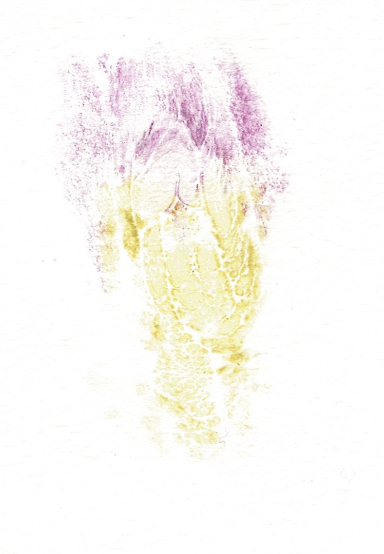 print made from ice cream cone painted on labia