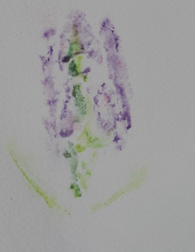 print made from lilac bush painted on labia