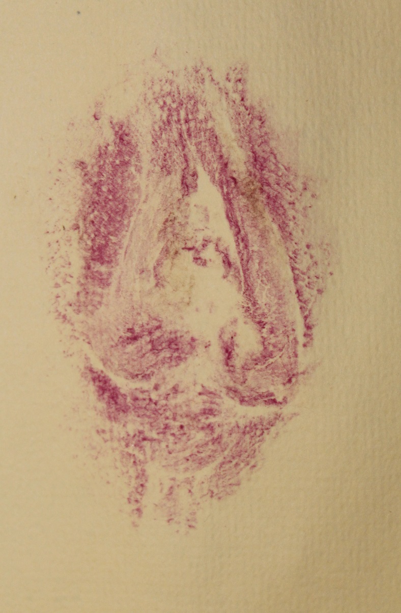 labia print red on brown paper