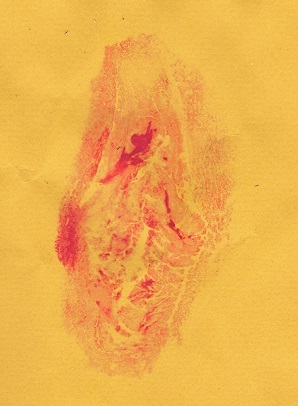 labia print of red on yellow paper