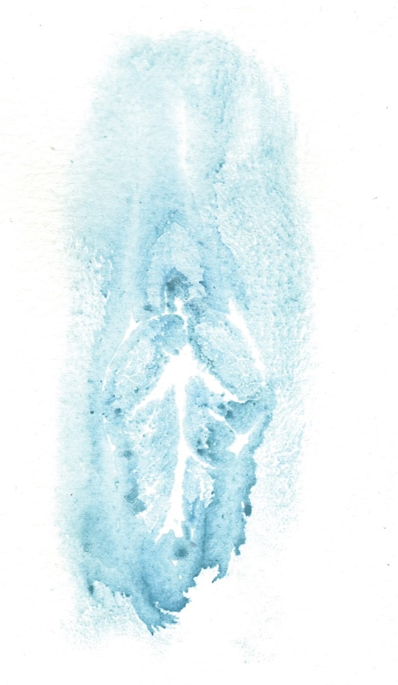 labia print blue on white paper