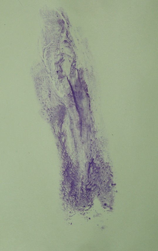 labia print purple on light green paper