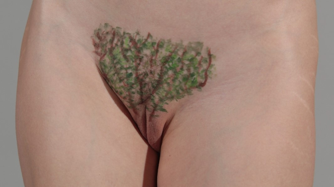 bush painted above vulva