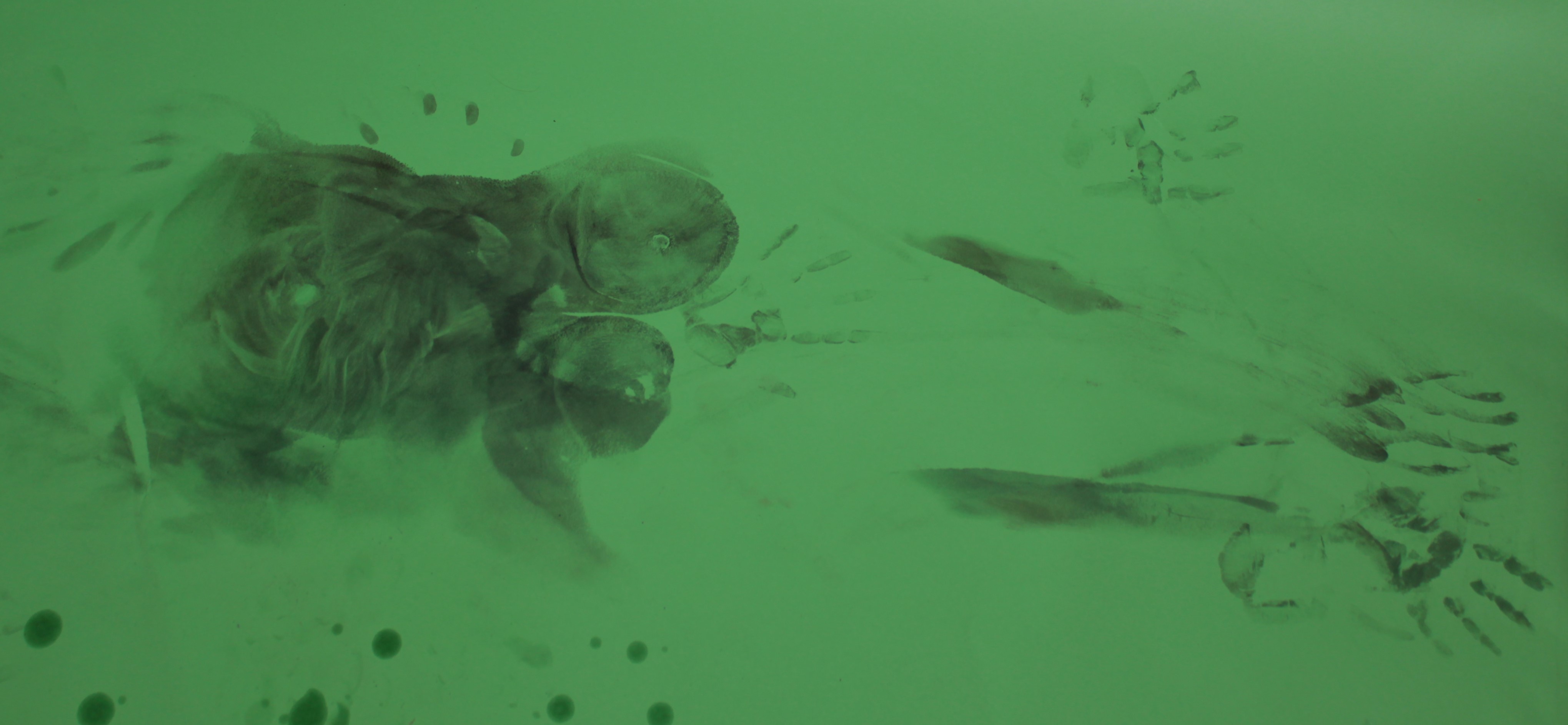 print left on paper after model rolled her painted body over it