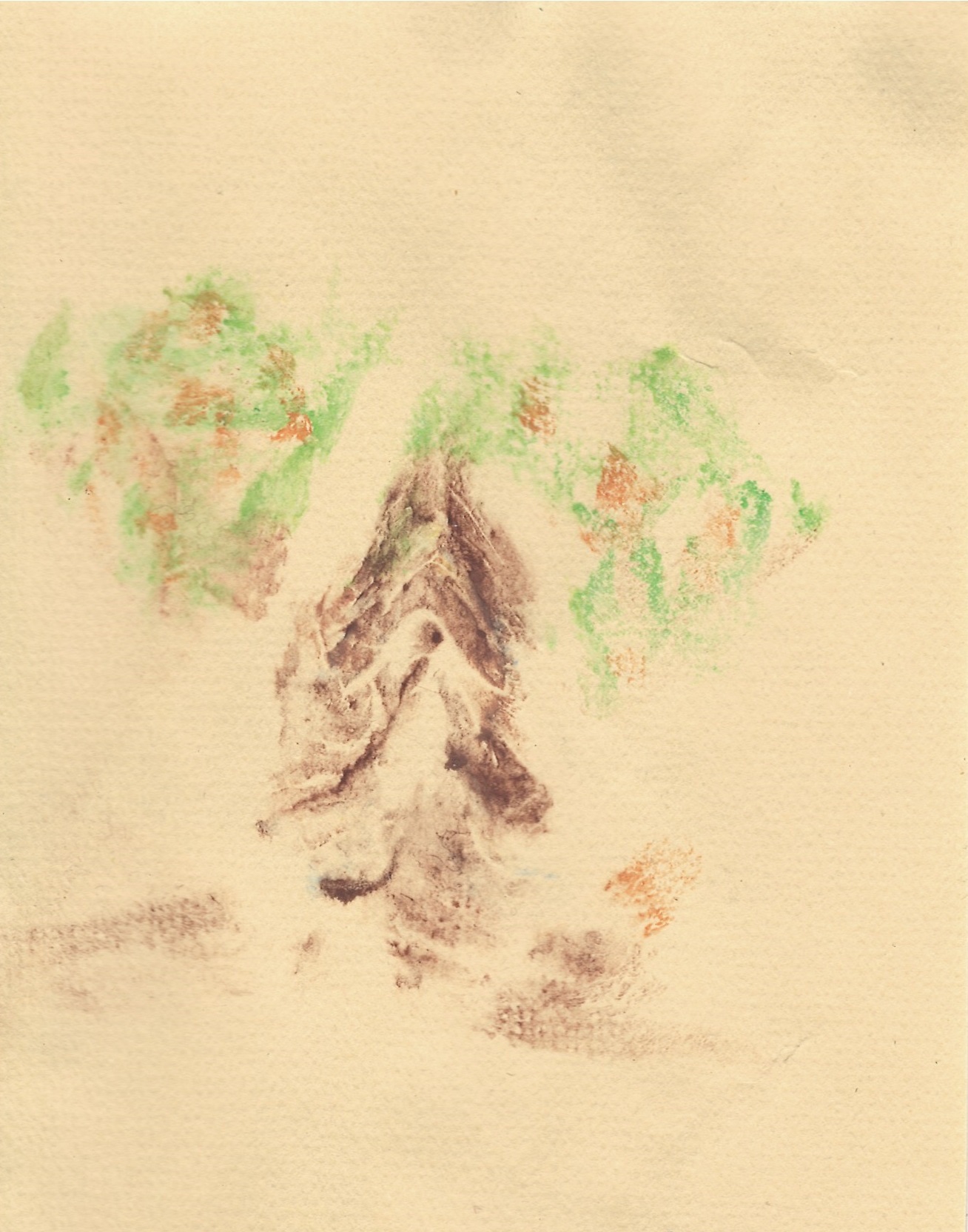 print made from orange tree painted on labia