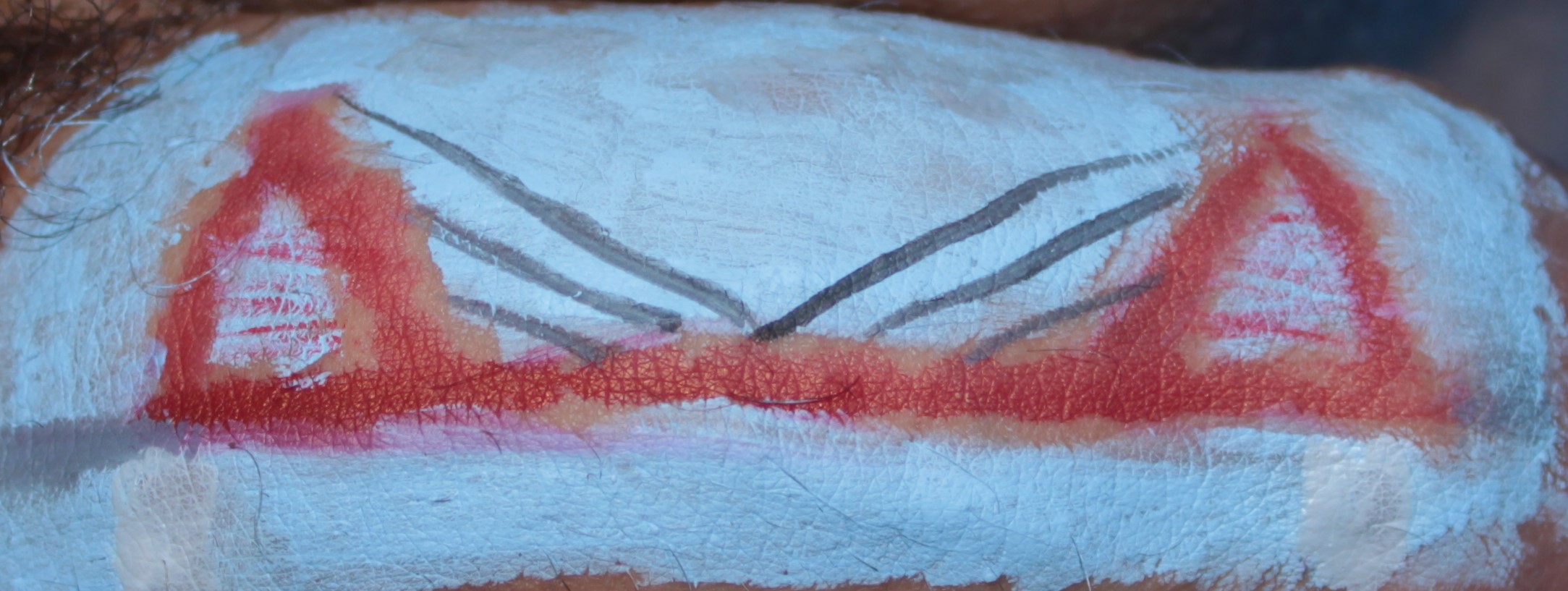 body painting on a penis of a suspension bridge