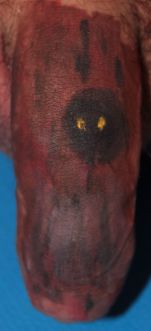 Body painting on a penis of tree trunk with eyes of owl peering out of a hole